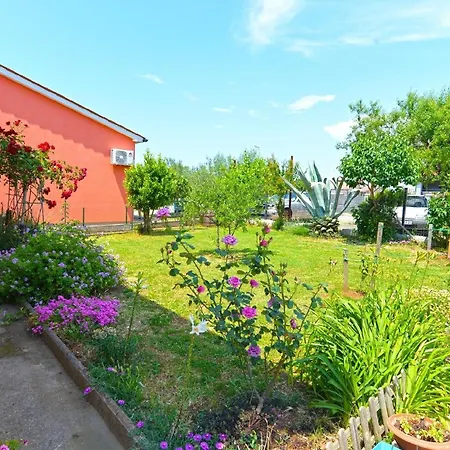 Fuer 3 Personen Ca 30 Qm In Galizana, Istrien Istrische Riviera Lejlighed Galižana